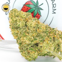 Sour Candy Kush | Strawberryhill Farm | 3.5g CBD Flower  - 0.067mg image (4/5)