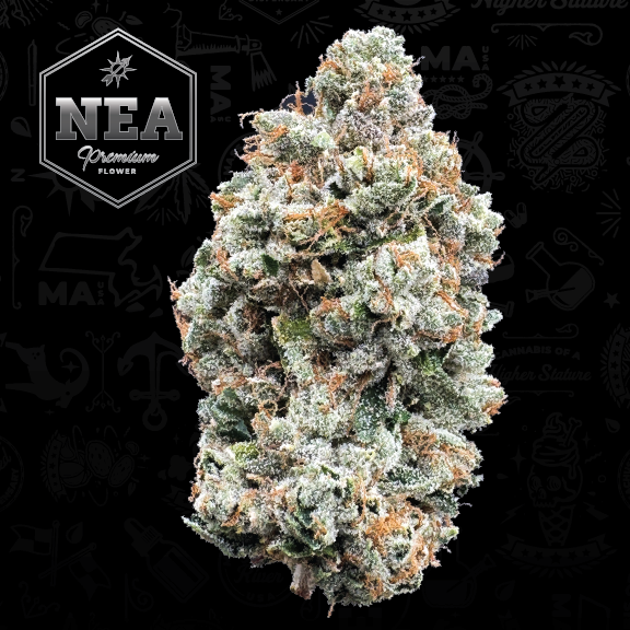 BTY OG (H) | NEA Premium | 3.5g Flower