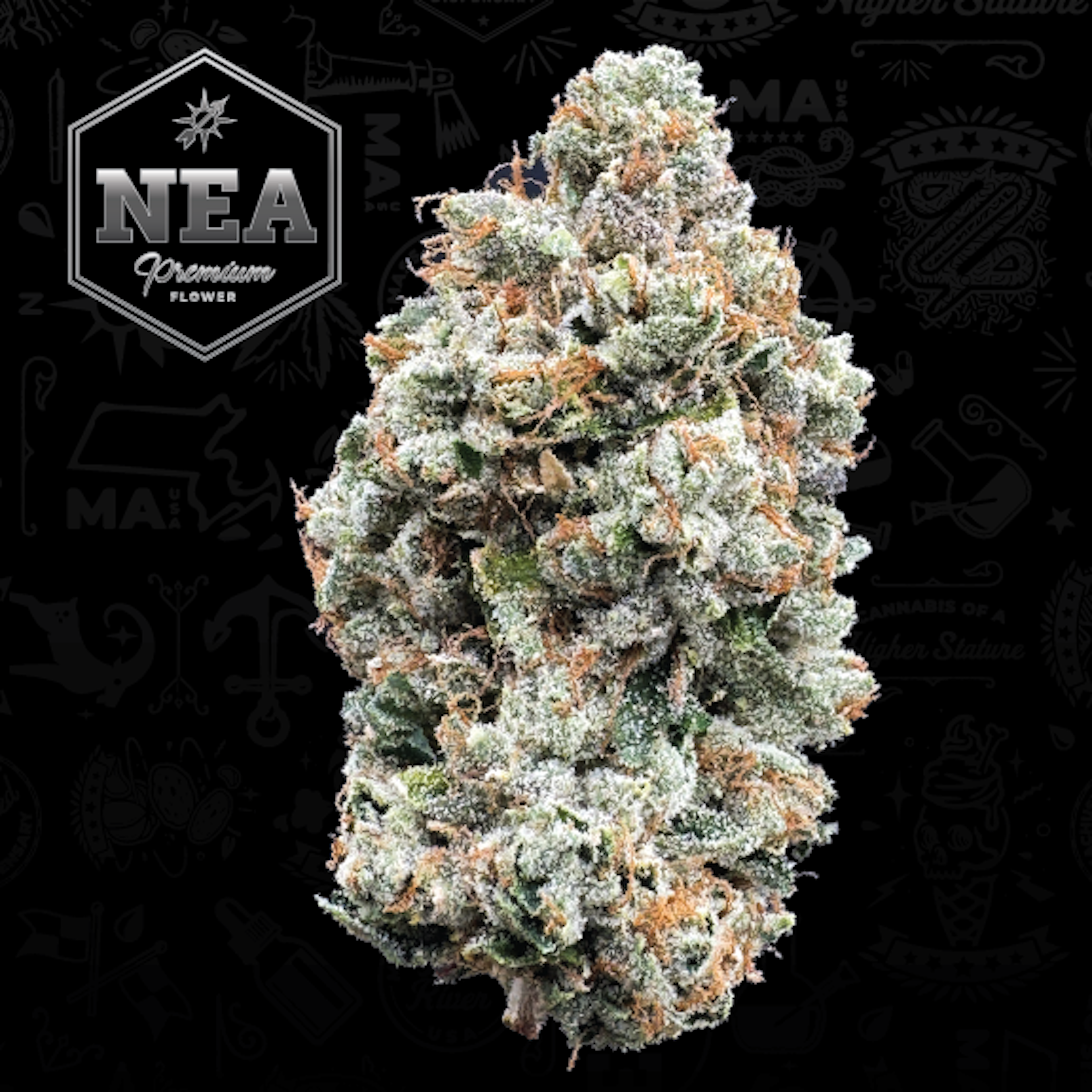 BTY OG (H) | NEA Premium | 3.5g Flower