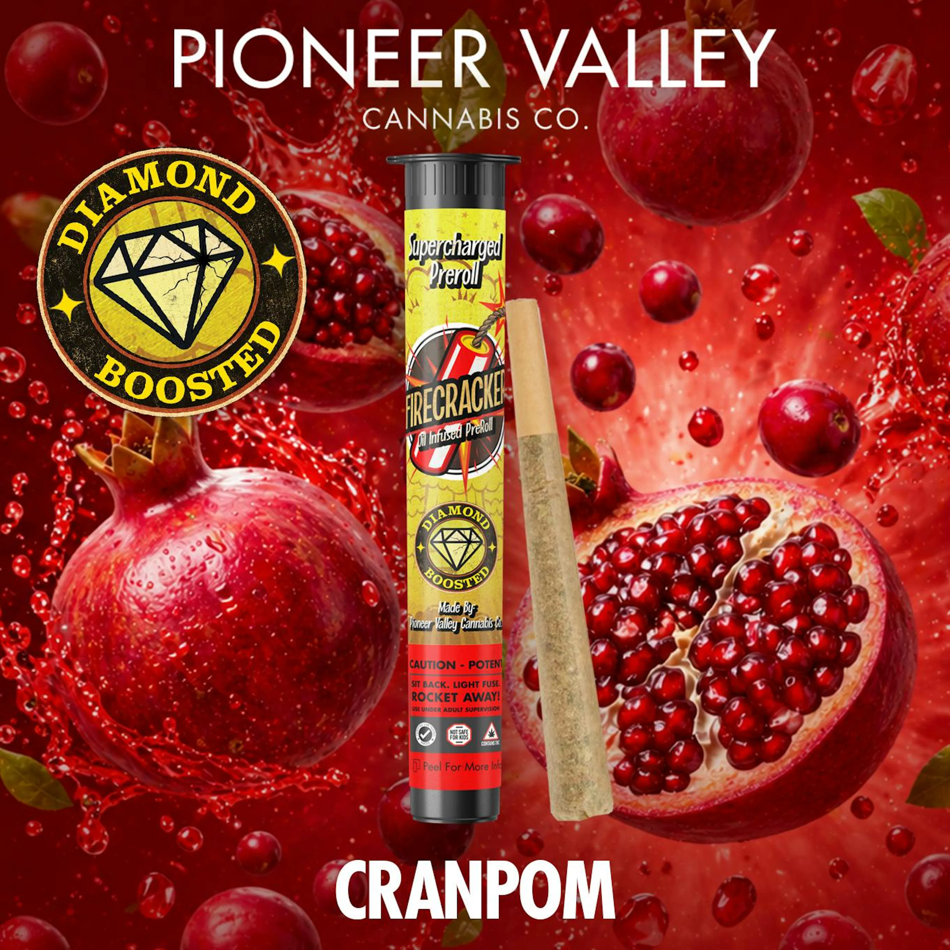 CranPom (H) | Pioneer Valley Firecracker | 1g Infused Pre-Roll