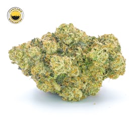 Mint Sherbert () | Fernway | 3.5g Flower - 3.5g image (1/12)