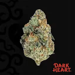 Berry Blintz (H) | Dark Heart | 14g Flower image (1/2)