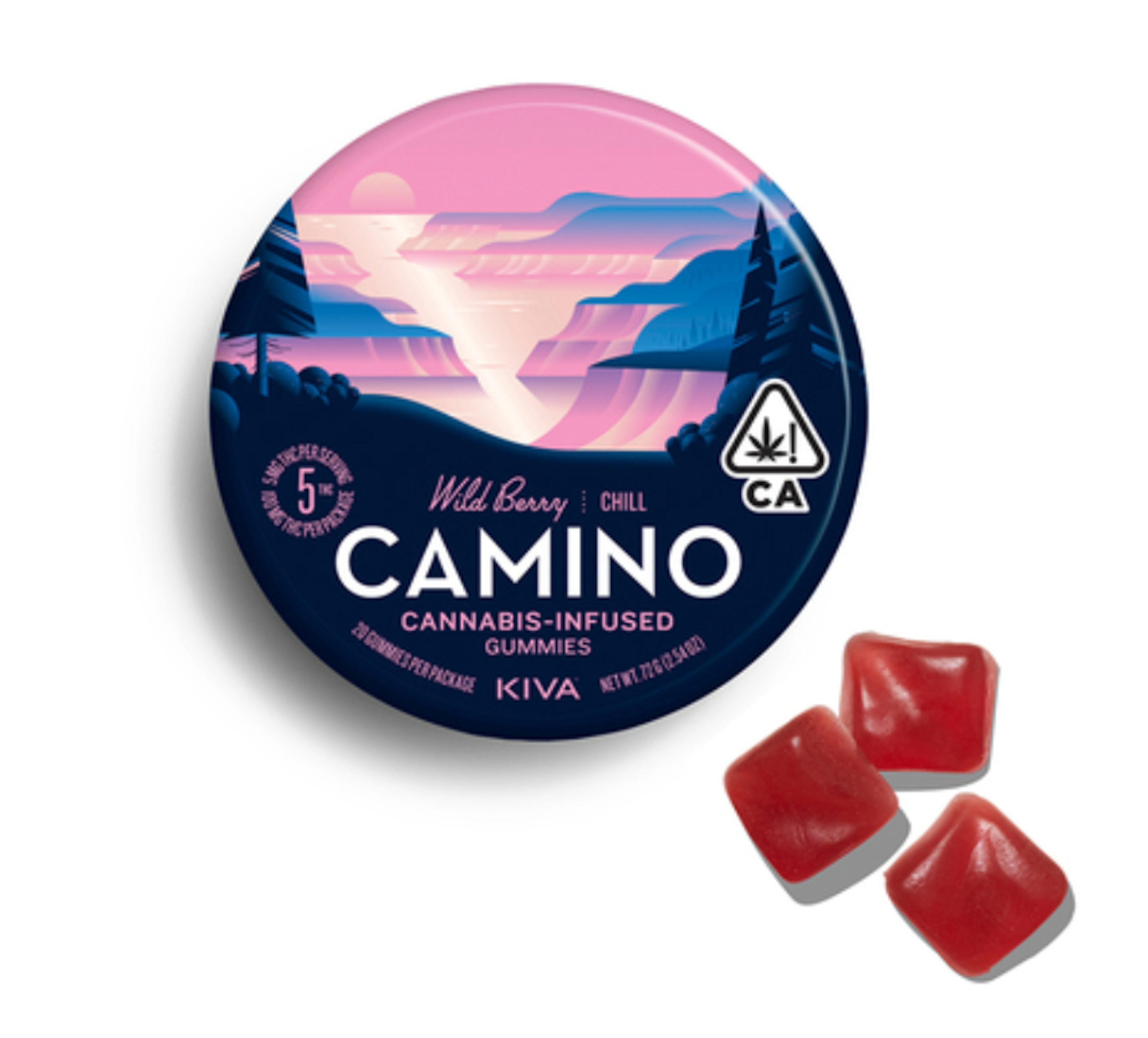 Camino Wild Berry (H) | Kiva | 5mg 20pk Gummies - 100mg