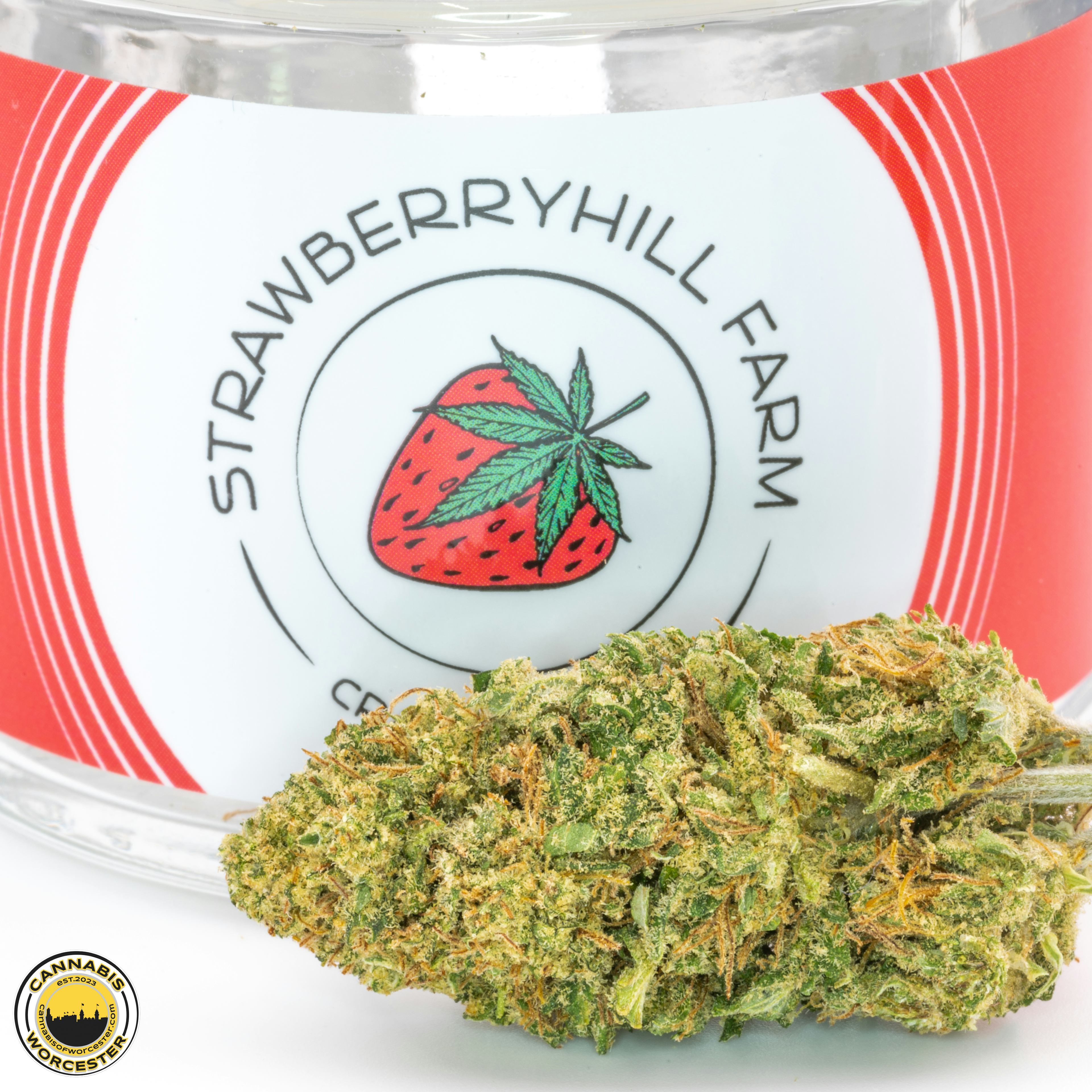 Sour Electra | Strawberryhill Farm | 3.5g CBD Flower (NO THC) - 0.047mg image (1/4)