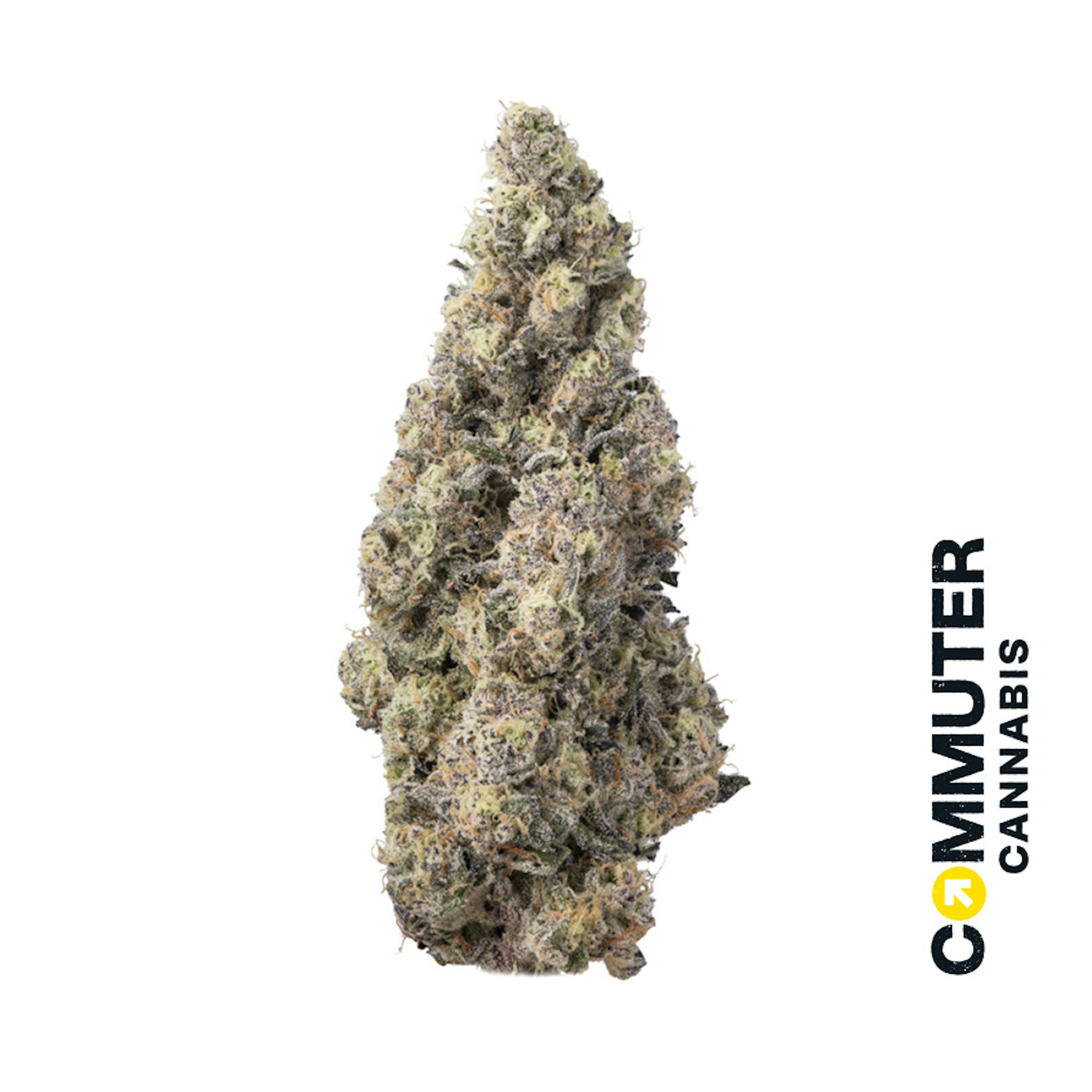Gush Mints (H) | Commuter | 3.5g Flower