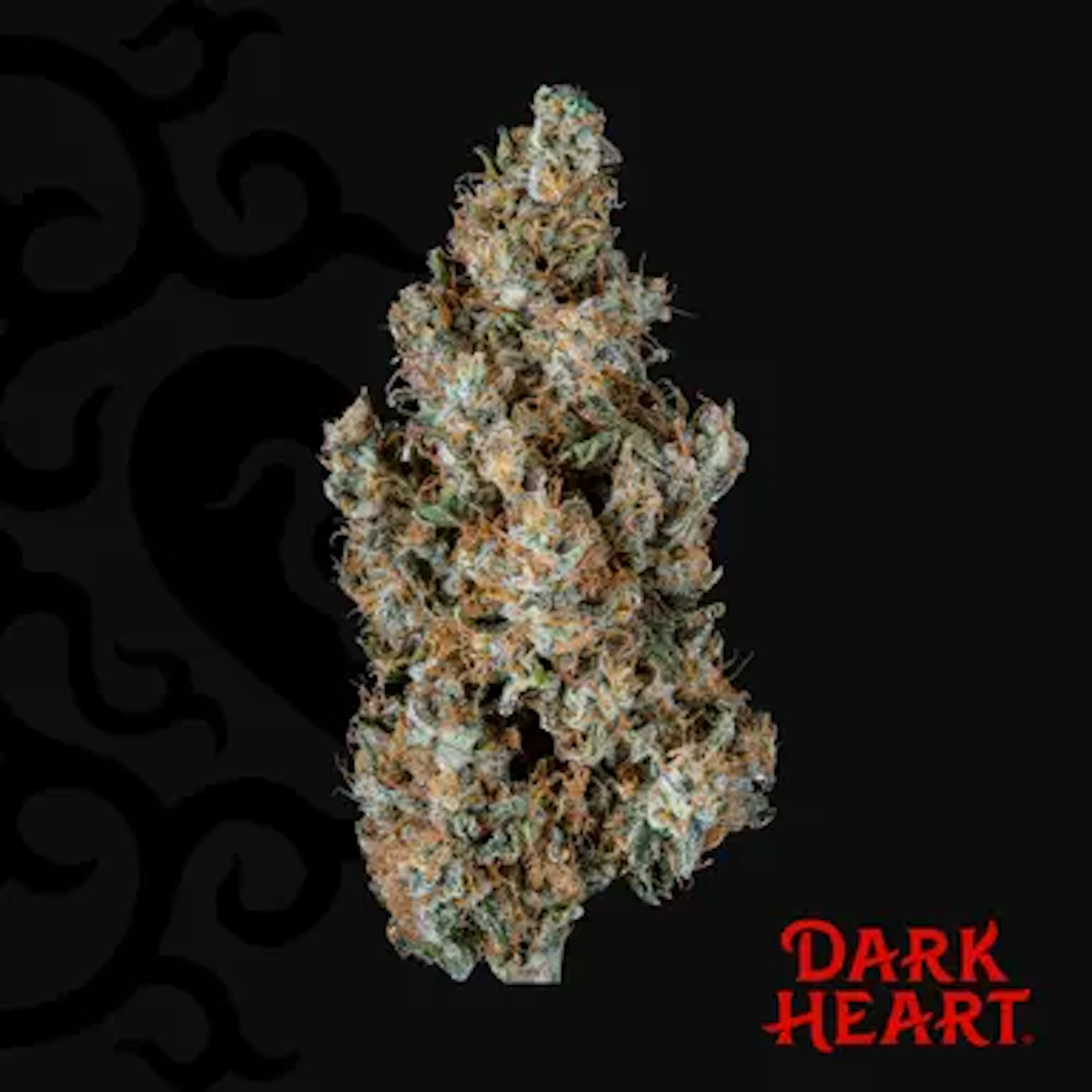 Titan Express (S) | Dark Heart | 14g Flower