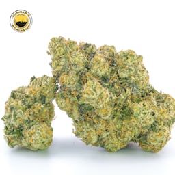 Mint Sherbert () | Fernway | 3.5g Flower - 3.5g image (6/12)