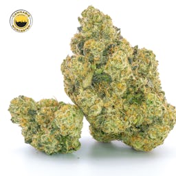 Mint Sherbert () | Fernway | 3.5g Flower - 3.5g image (10/12)