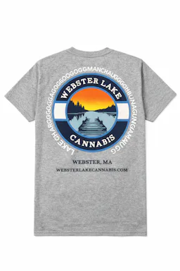 WLC Gray Logo T-Shirt image (1/2)