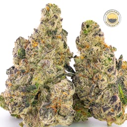 Cinnamon Buddha (I) | Simply Herb | 3.5g Flower - 3.5g image (4/4)