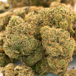 Bada-Boom (S) | Find | 14g Flower -  image (2/2)