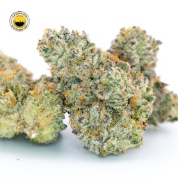 Boston Stranglah (I) | Nimbus | 3.5g Flower - 3.5g image (1/4)