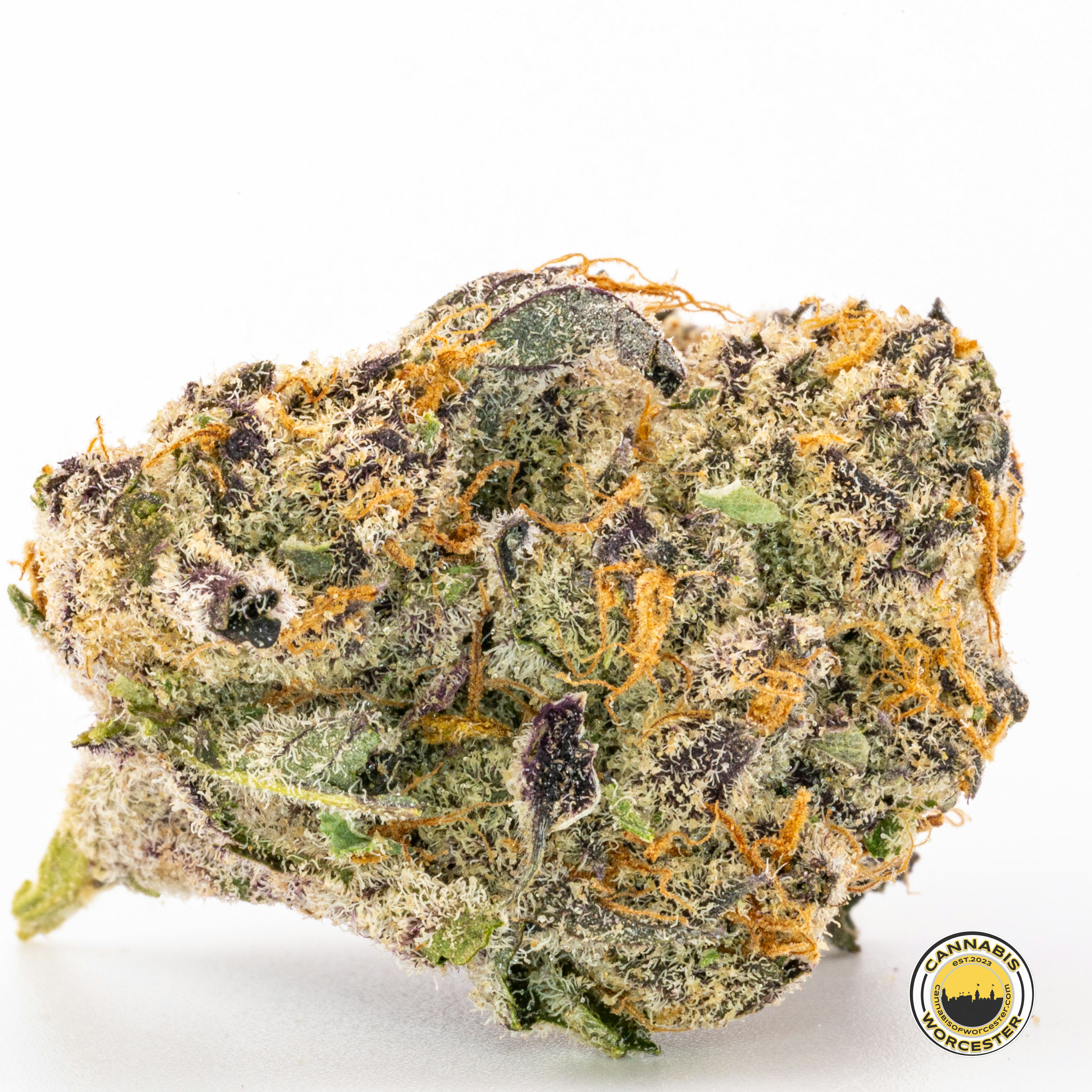 Chocolate Chimp (S) | Find | 3.5g Flower - 