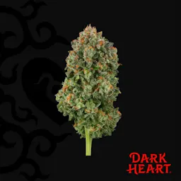Blackened Blue (S) | Dark Heart | 14g Flower image (2/2)