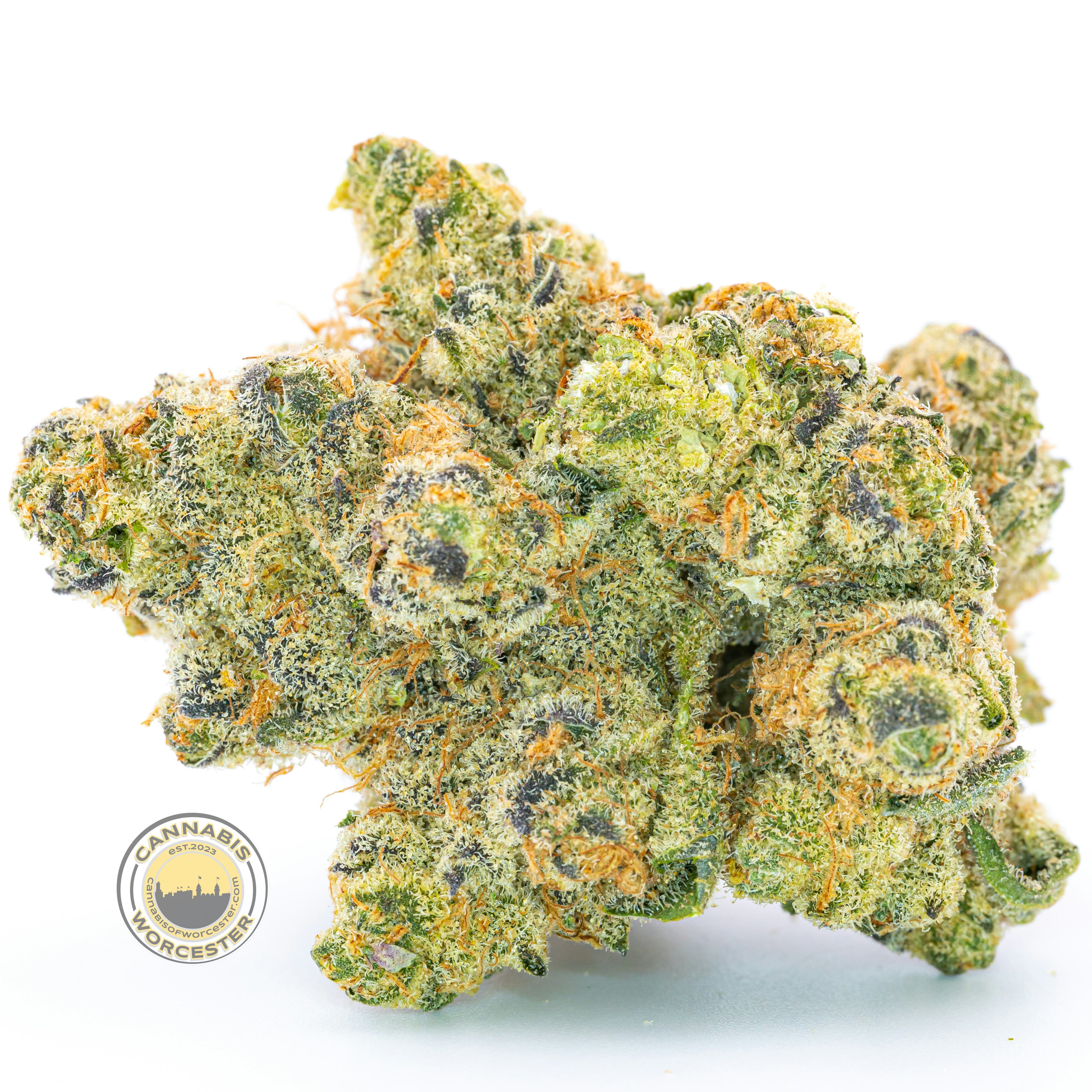 Wedding Crasher #2 (H) | Mass Alternative Care | 3.5g Flower