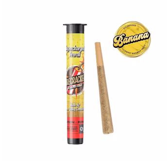 Banana Candy (H) | Pioneer Valley Firecracker | 1g Infused Pre-Roll