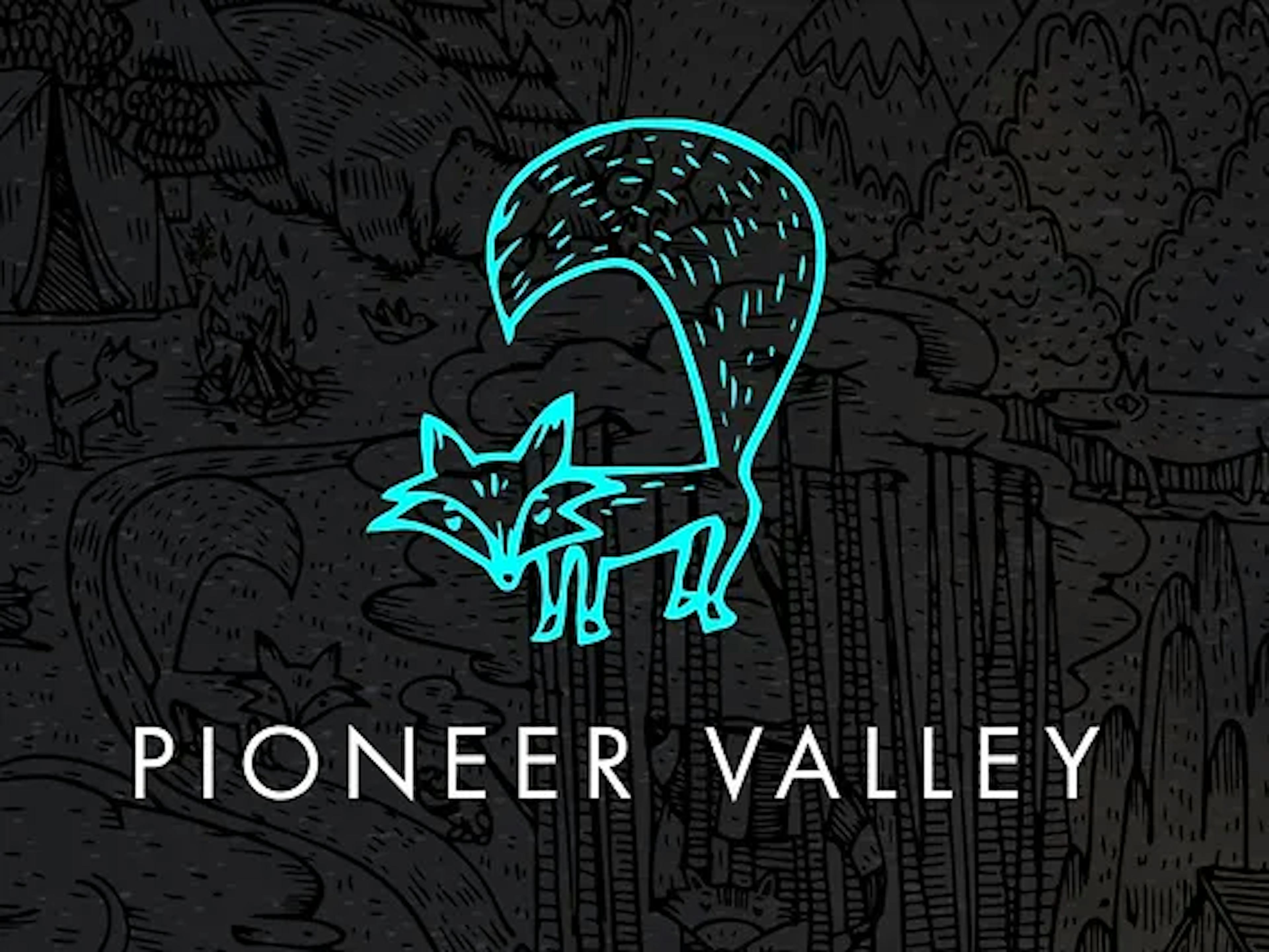 Grapeness (I) | Pioneer Valley | 0.5g 510 Cartridge  