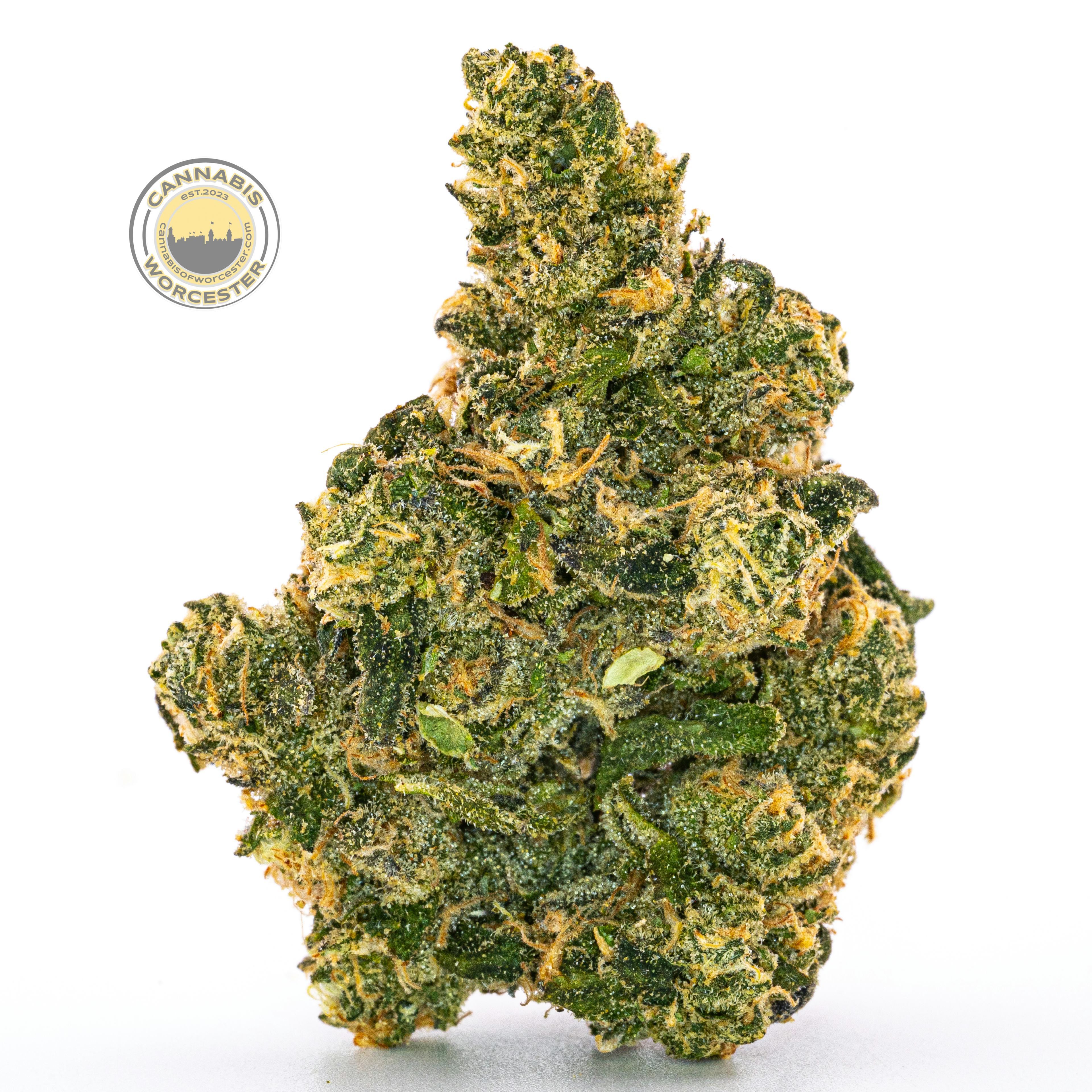 Rainbow Road (SH) | Mass Alternative Care | 3.5g Flower