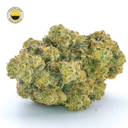 Mint Sherbert () | Fernway | 3.5g Flower - 3.5g image (2/12)