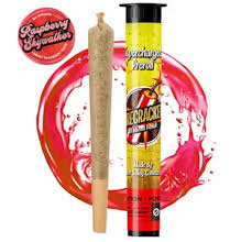 Raspberry SWOG (H) | Pioneer Valley Firecracker | 1g Infused Pre-Roll
