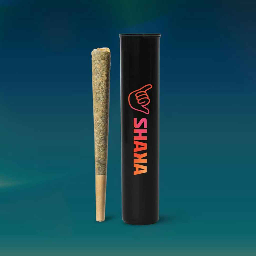 Marmalade (H) | Shaka | 1g Pre-Roll