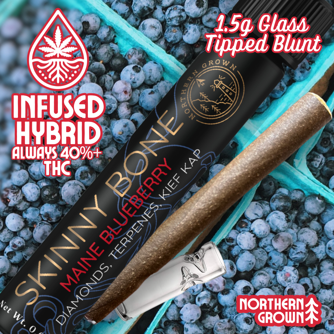 Maine Blueberry (H) | Skinny Bone | 1.5g Infused Blunt