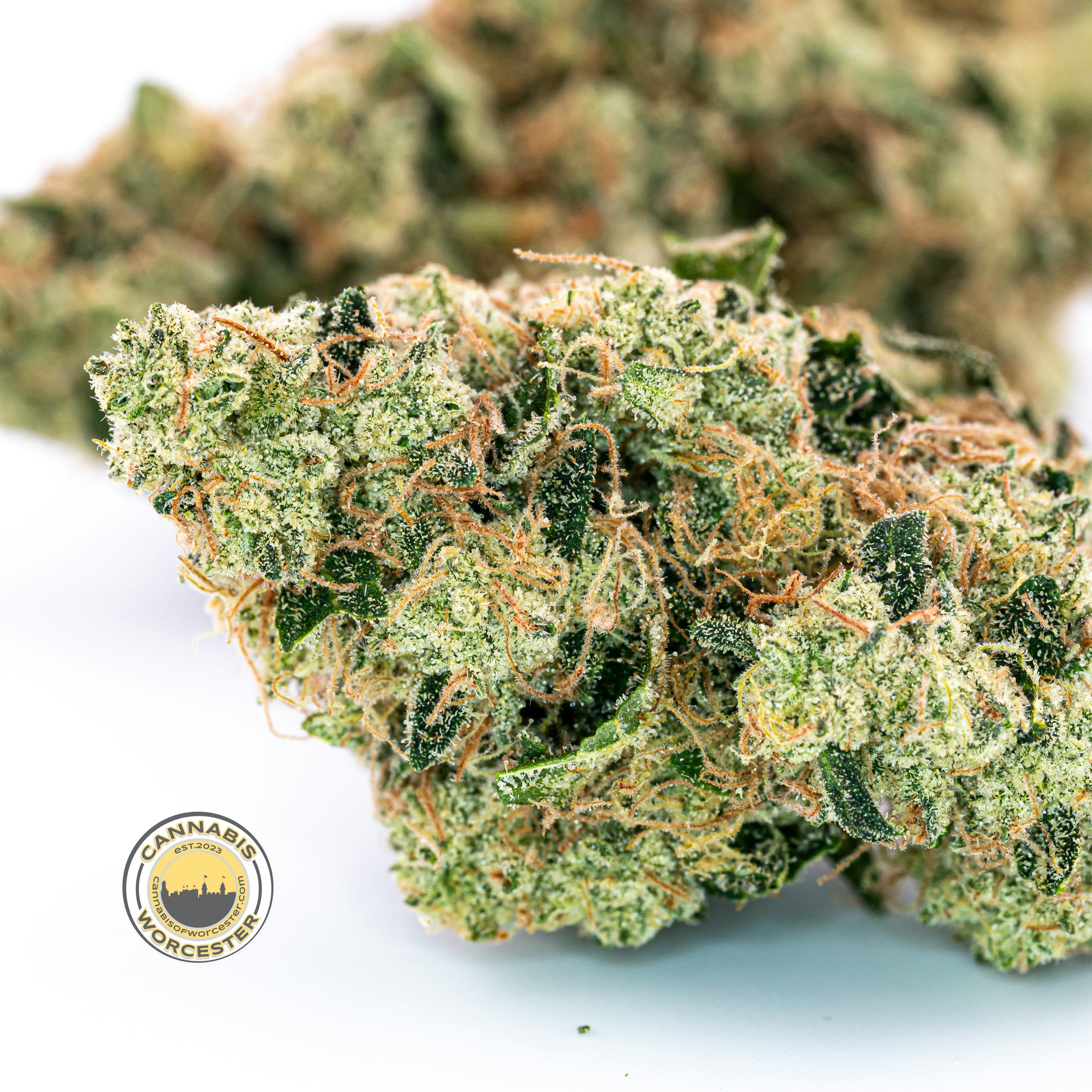 Ghost Dawg (H) | Root & Bloom | 3.5g Flower