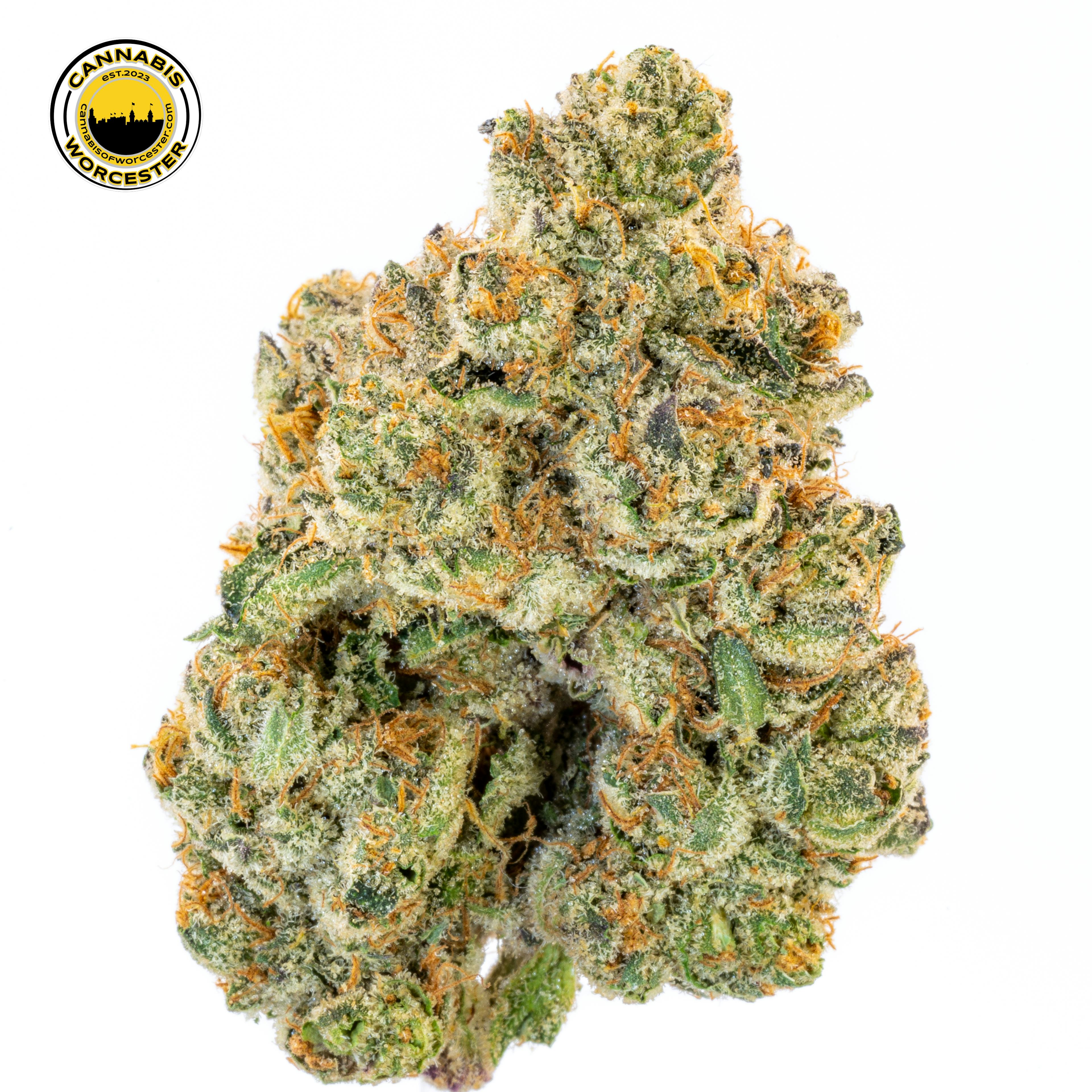 Pint Sized (H) | River Run | 3.5g Flower