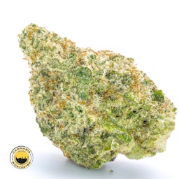 Miracle Alien Cookies 31 () | Fernway | 3.5g Flower - 3.5g image (11/16)