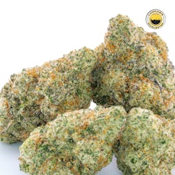 Miracle Alien Cookies 31 () | Fernway | 3.5g Flower - 3.5g image (14/16)