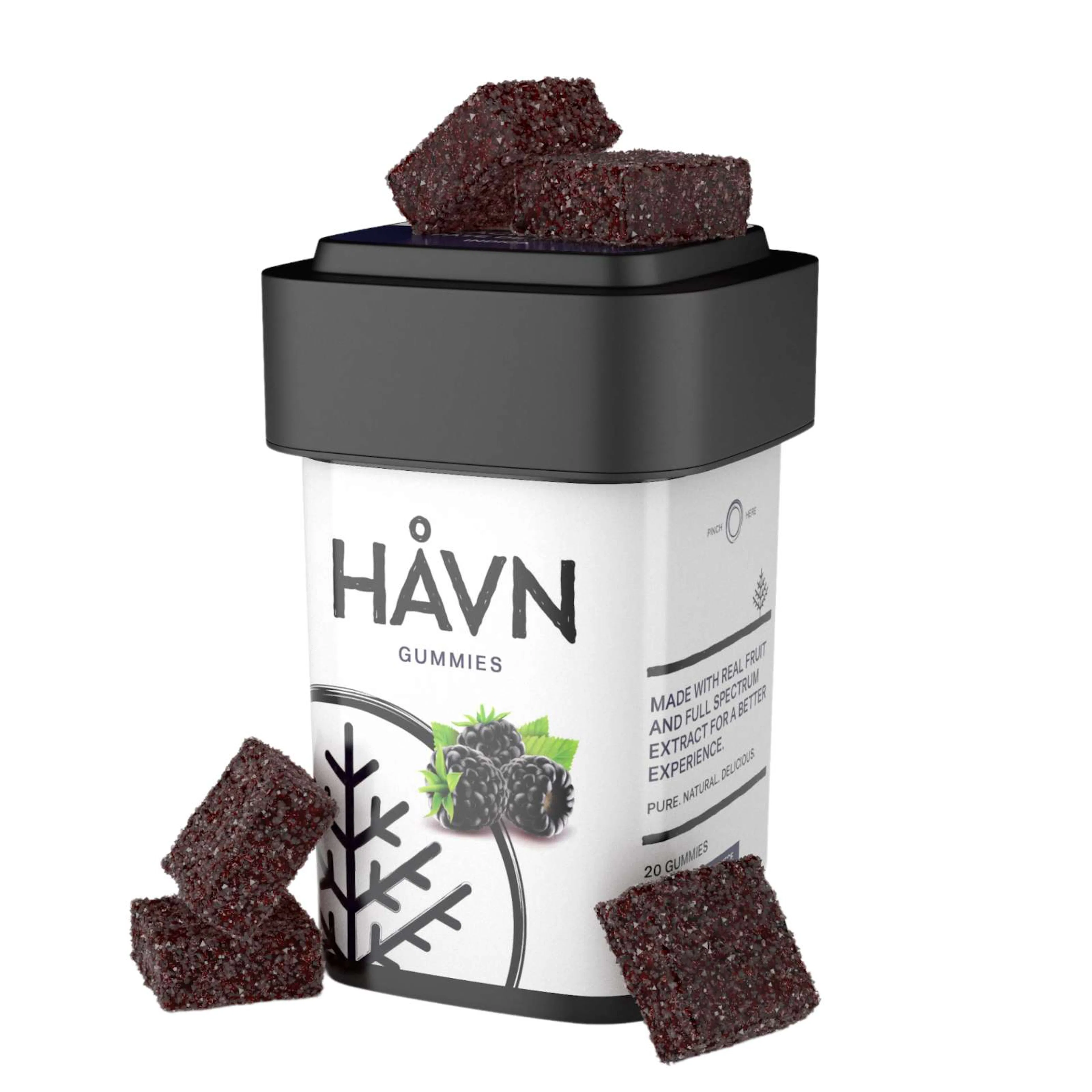 Blackberry 2:1 THC:CBN | HAVN | 100mg 20pk Gummies