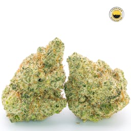 Miracle Alien Cookies 31 () | Fernway | 3.5g Flower - 3.5g image (9/16)