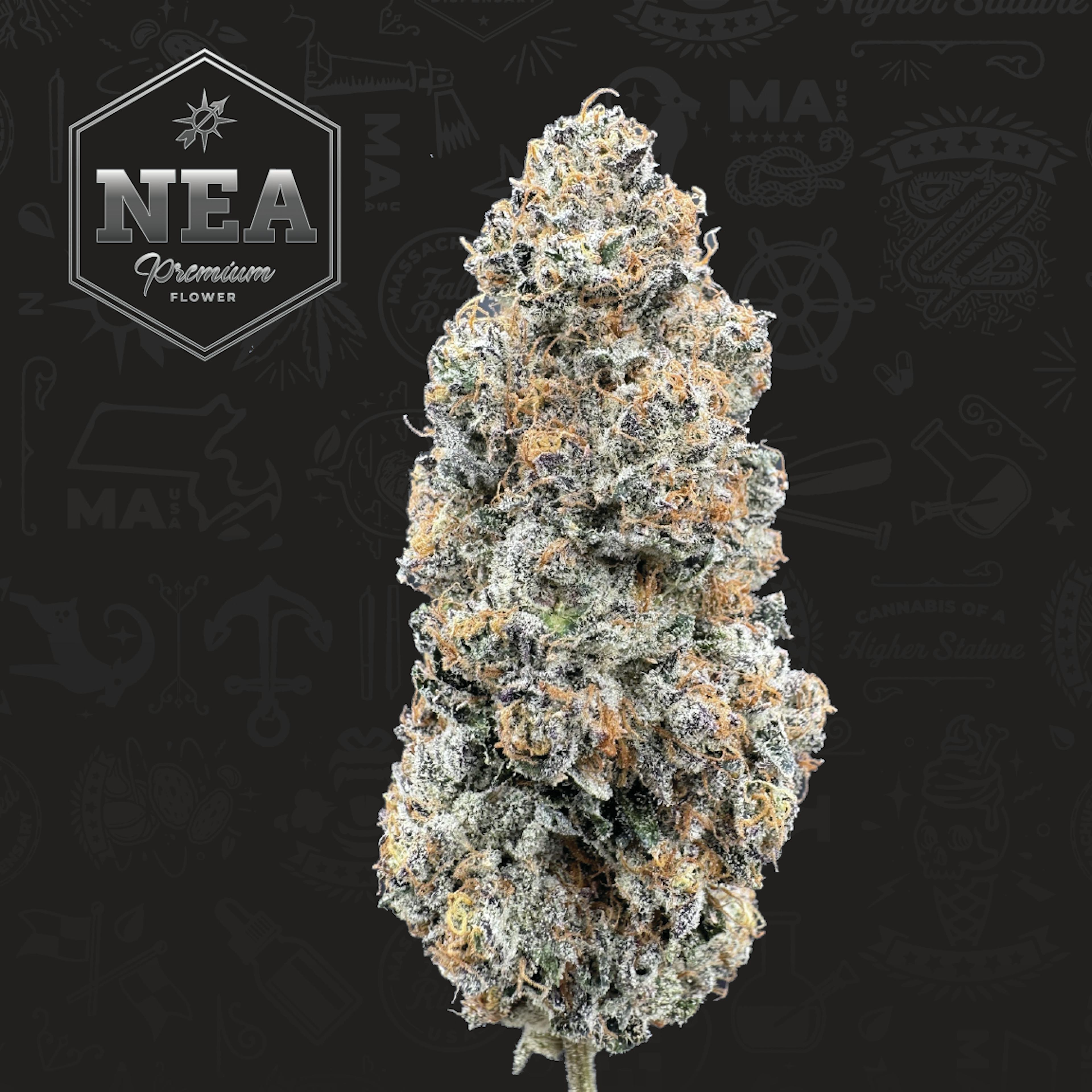 Sherbert Honey (S) | NEA | 3.5g Flower