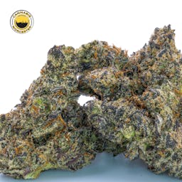 White Truffle () | Fernway | 3.5g Flower - 3.5g image (5/13)