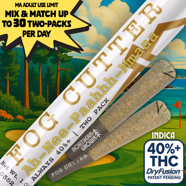 Ah-Nee-Paahhh-Mmaaa (S) | Fog Cutter | 0.5g 2pk Infused Pre-Rolls