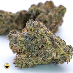 White Truffle () | Fernway | 3.5g Flower - 3.5g image (6/13)