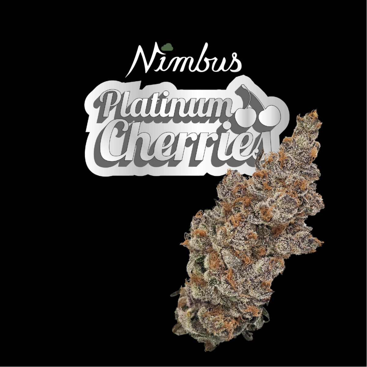 Platinum Cherries (IH) | Nimbus | 3.5g Flower