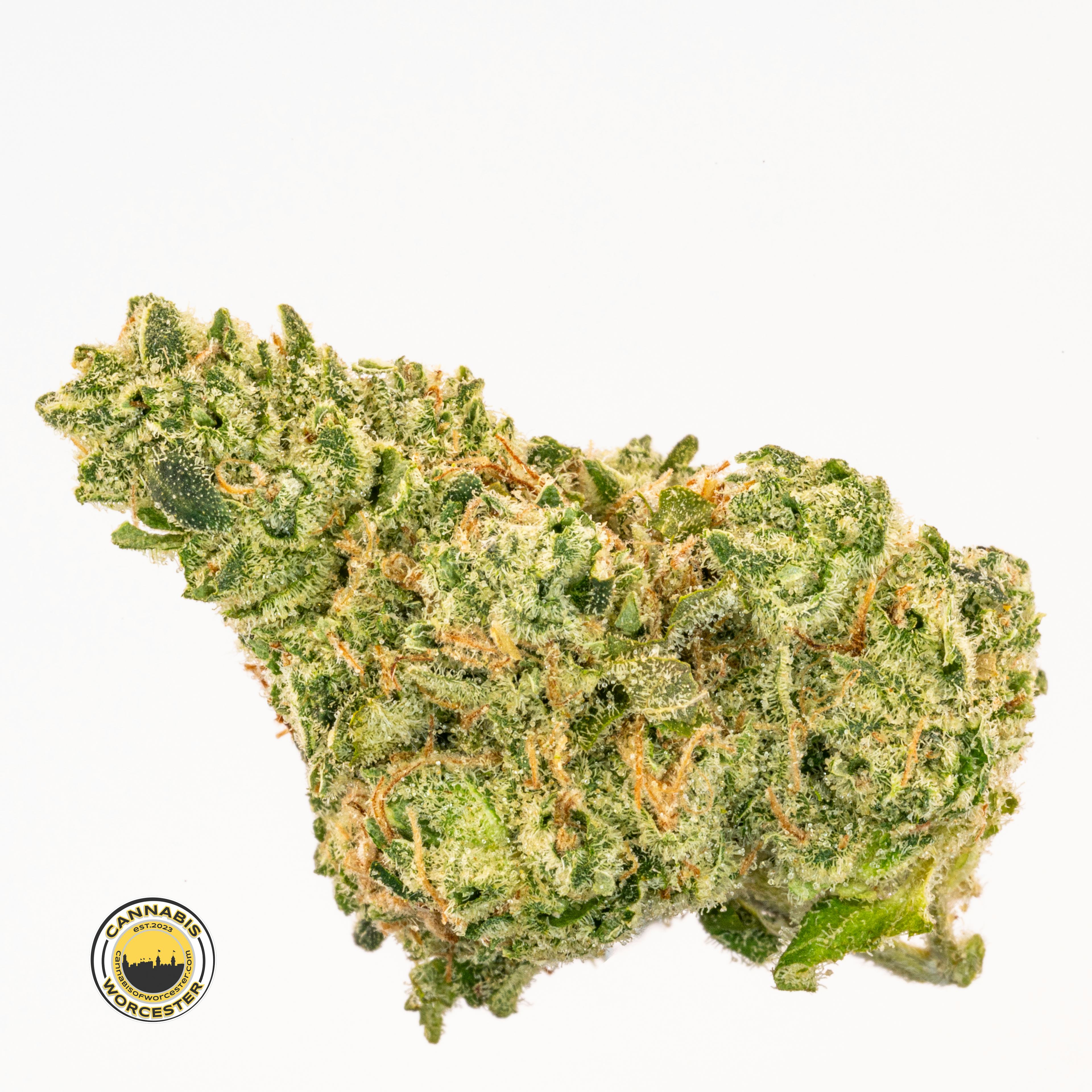 Sour PUTS () | Fernway | 3.5g Flower -