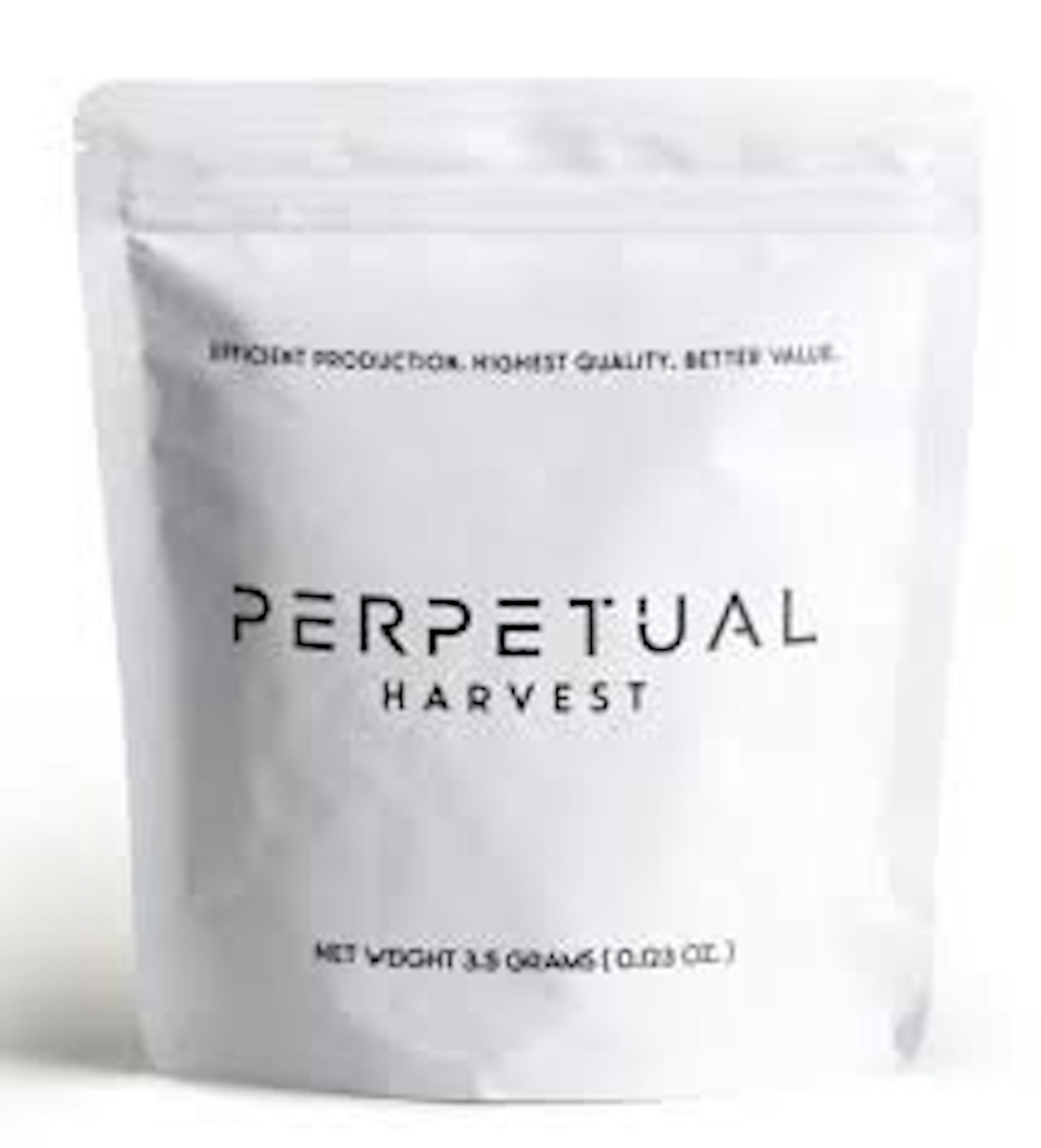 Girl (H) | Perpetual | 7g Ready To Roll
