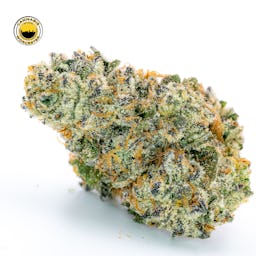 Boston Stranglah (I) | Nimbus | 3.5g Flower - 3.5g image (4/4)