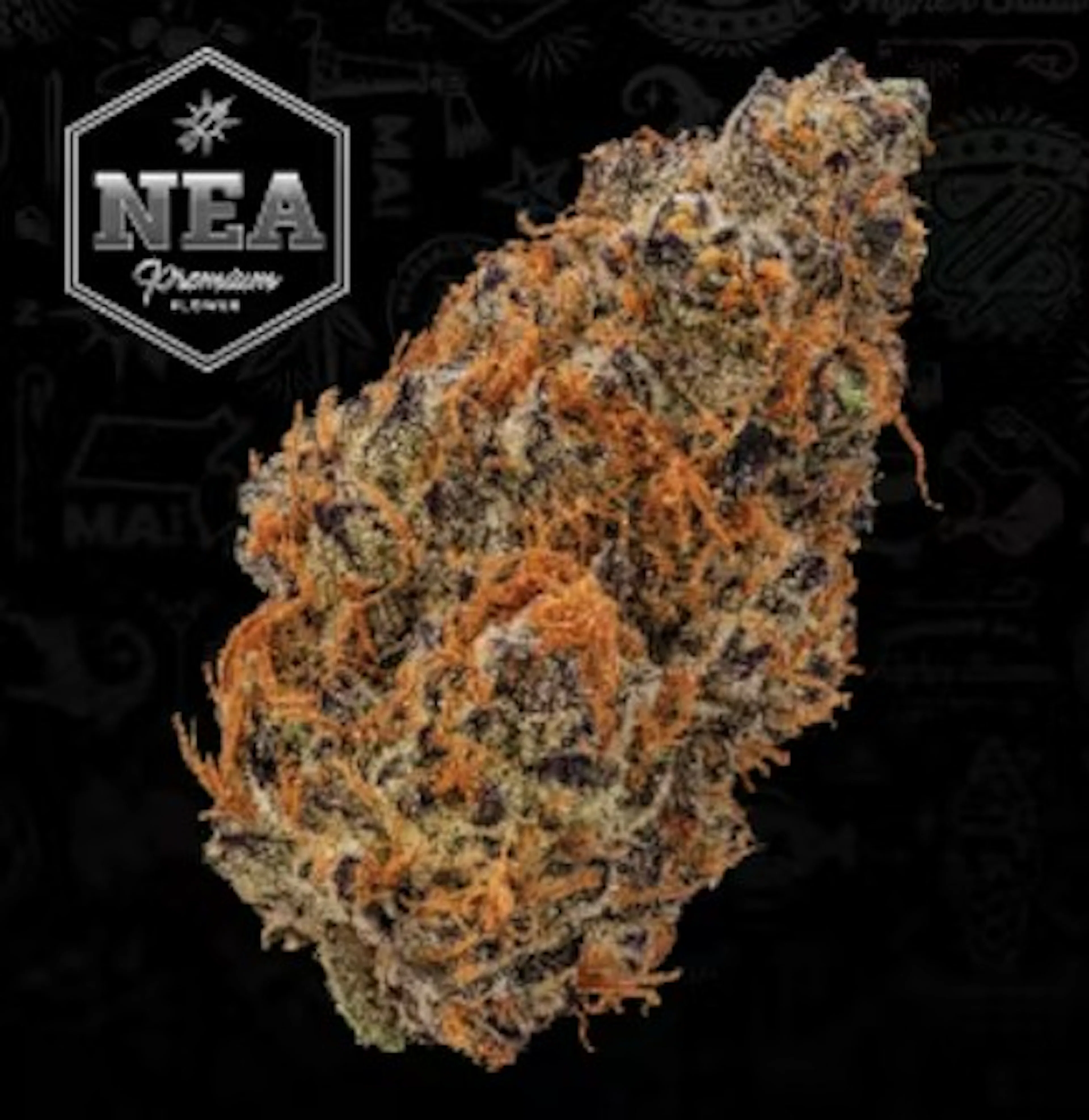 Garlicane (IH) | NEA Premium | 3.5g Flower