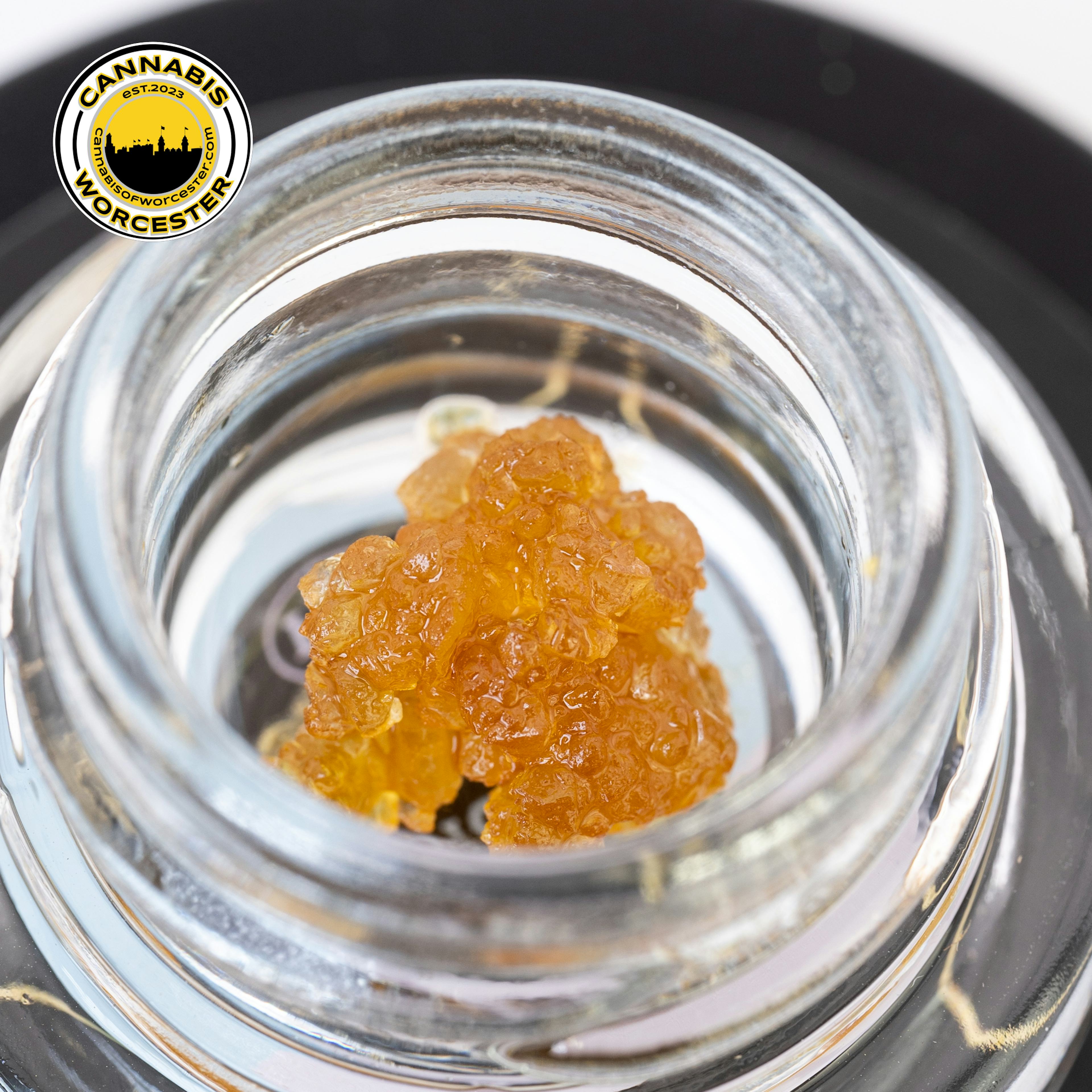 Chocolatina (H) | Nature's Heritage | 0.5g Live Sugar - 0.5g