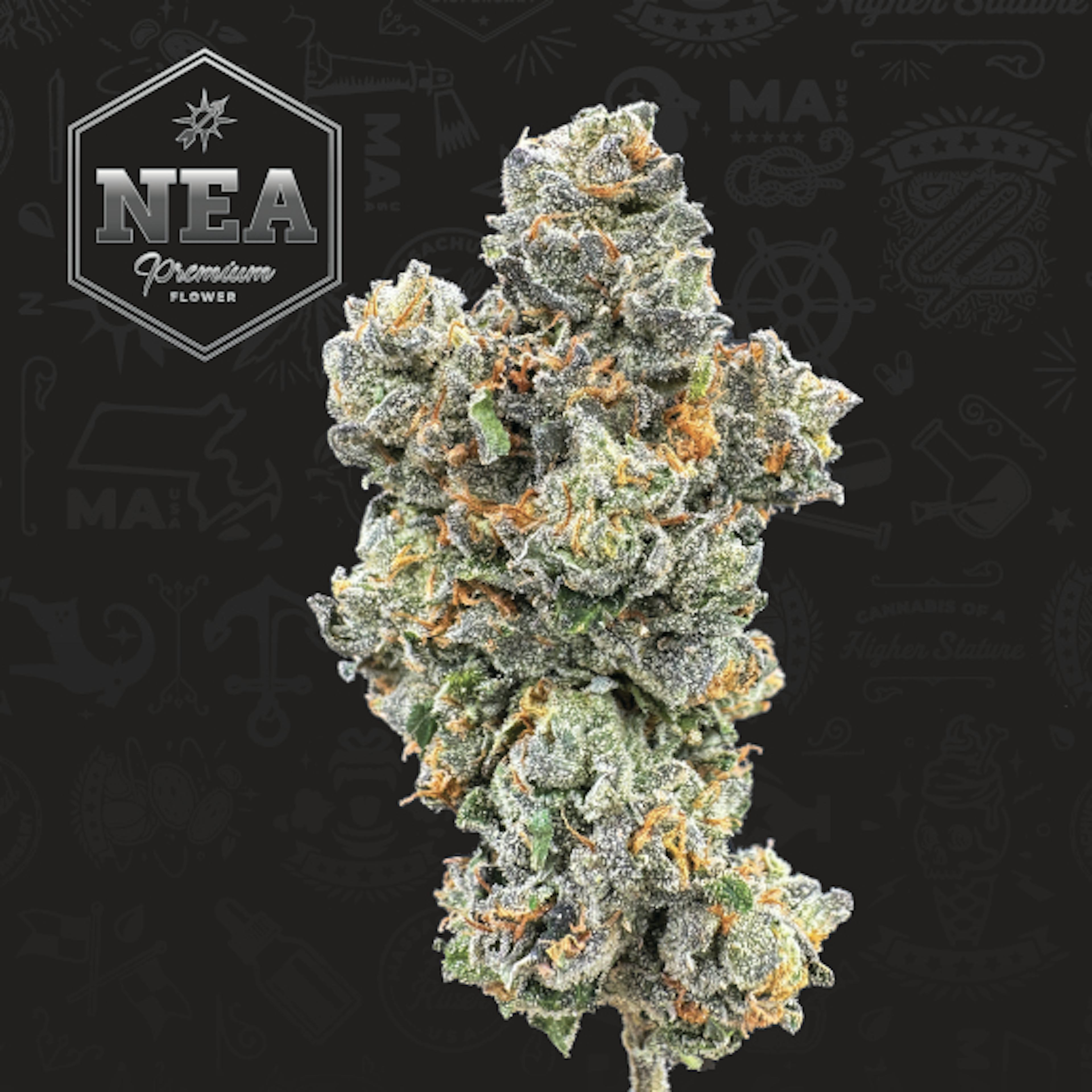 Canal Street Runtz (IH) | NEA Premium | 3.5g Flower