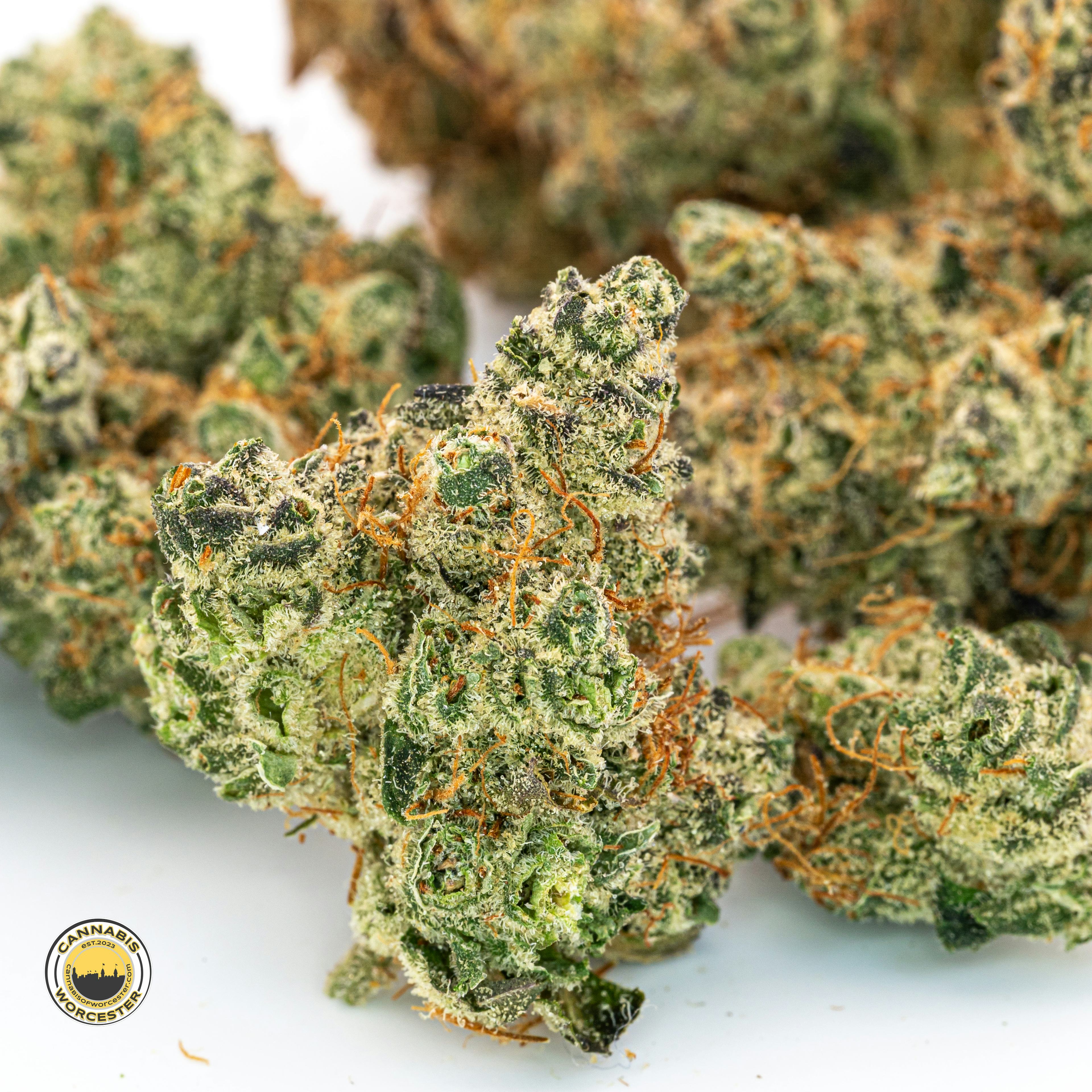 Peach Milano | Fernway | 3.5g Flower - 