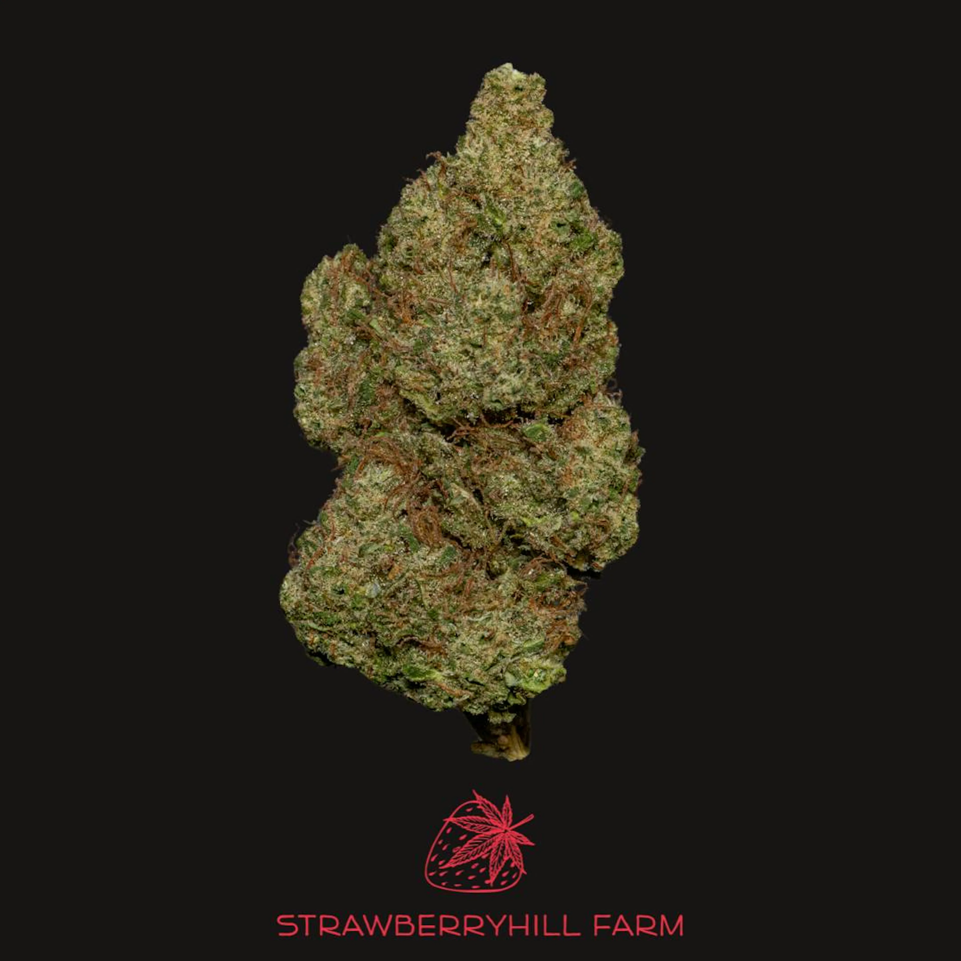 Super Sour Space Candy | Strawberryhill Farm | 3.5g CBD Flower (NO THC)