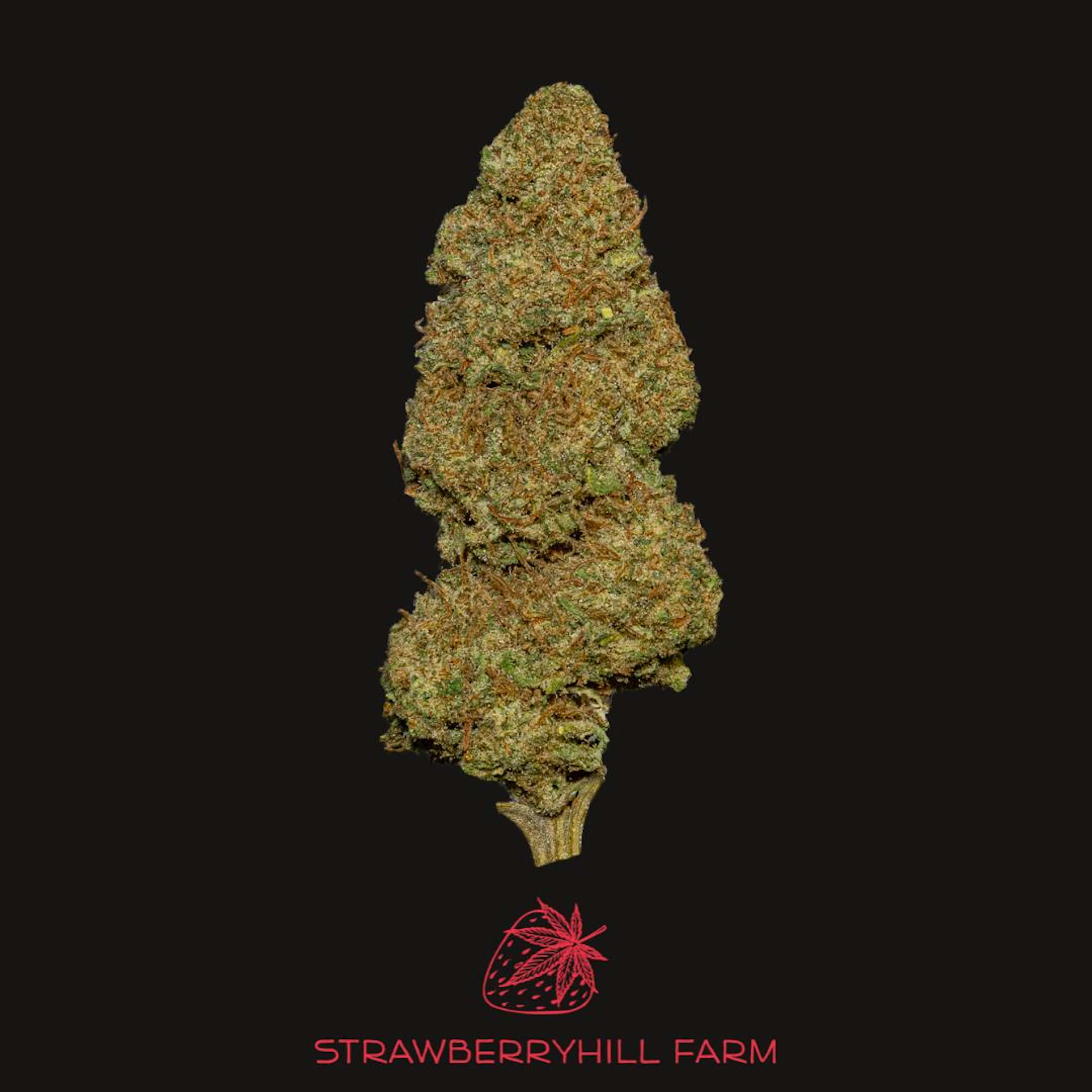 Sour Lifter | Strawberryhill Hemp | 3.5g CBD Flower (NO THC)