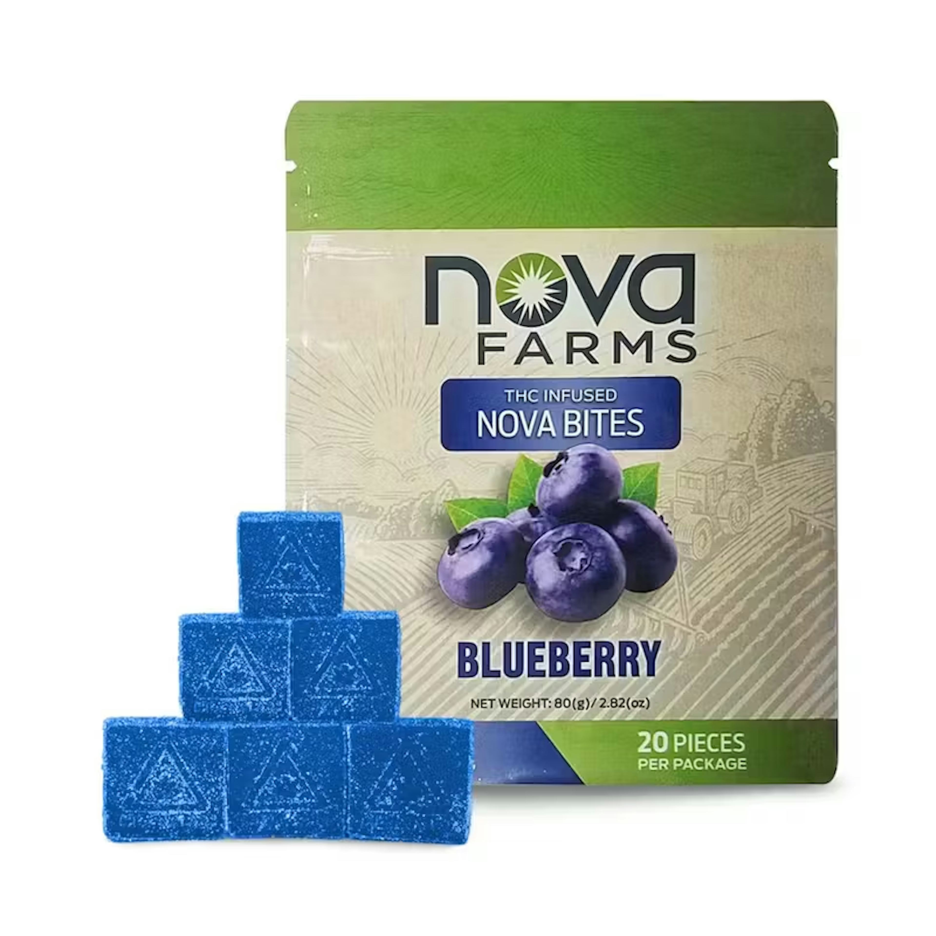 Blueberry (H) | Nova Bites | Gummies | 100 MG | 20PK