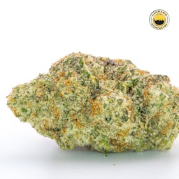 Miracle Alien Cookies 31 () | Fernway | 3.5g Flower - 3.5g image (12/16)