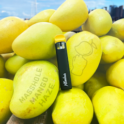 Masshole Mango Haze (S) | Nimbus | Disposable Cartridge - 0.5g image (2/2)