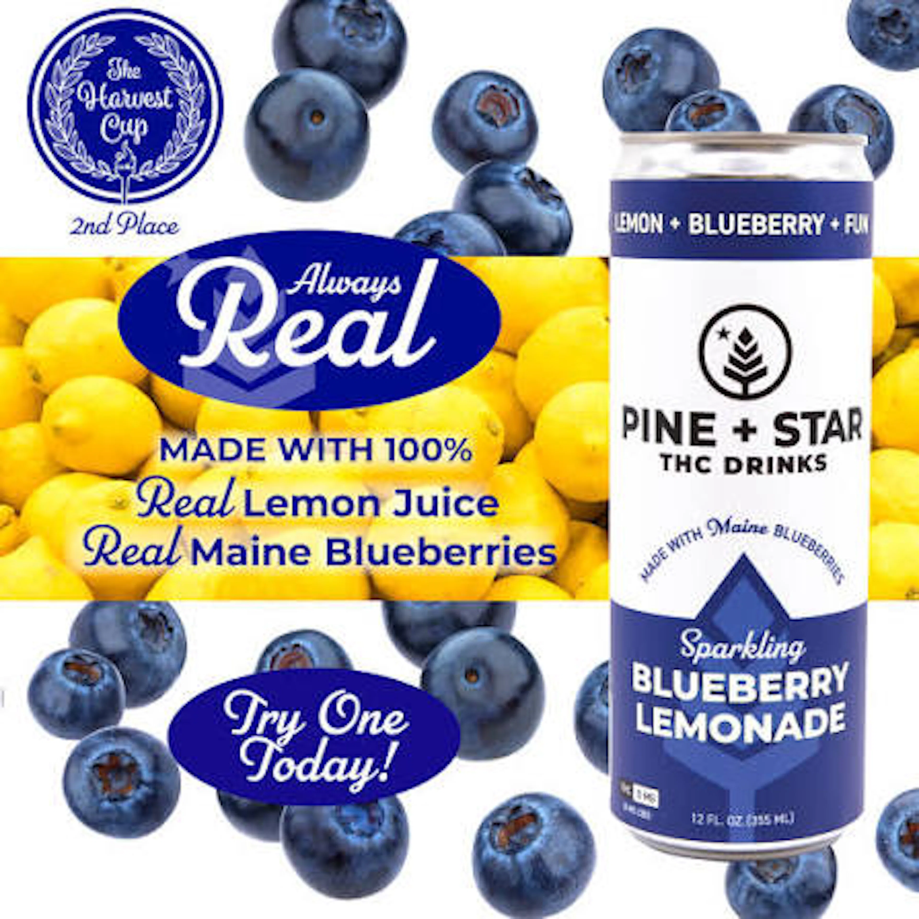 Blueberry Lemonade | Pine + Star | 5mg
